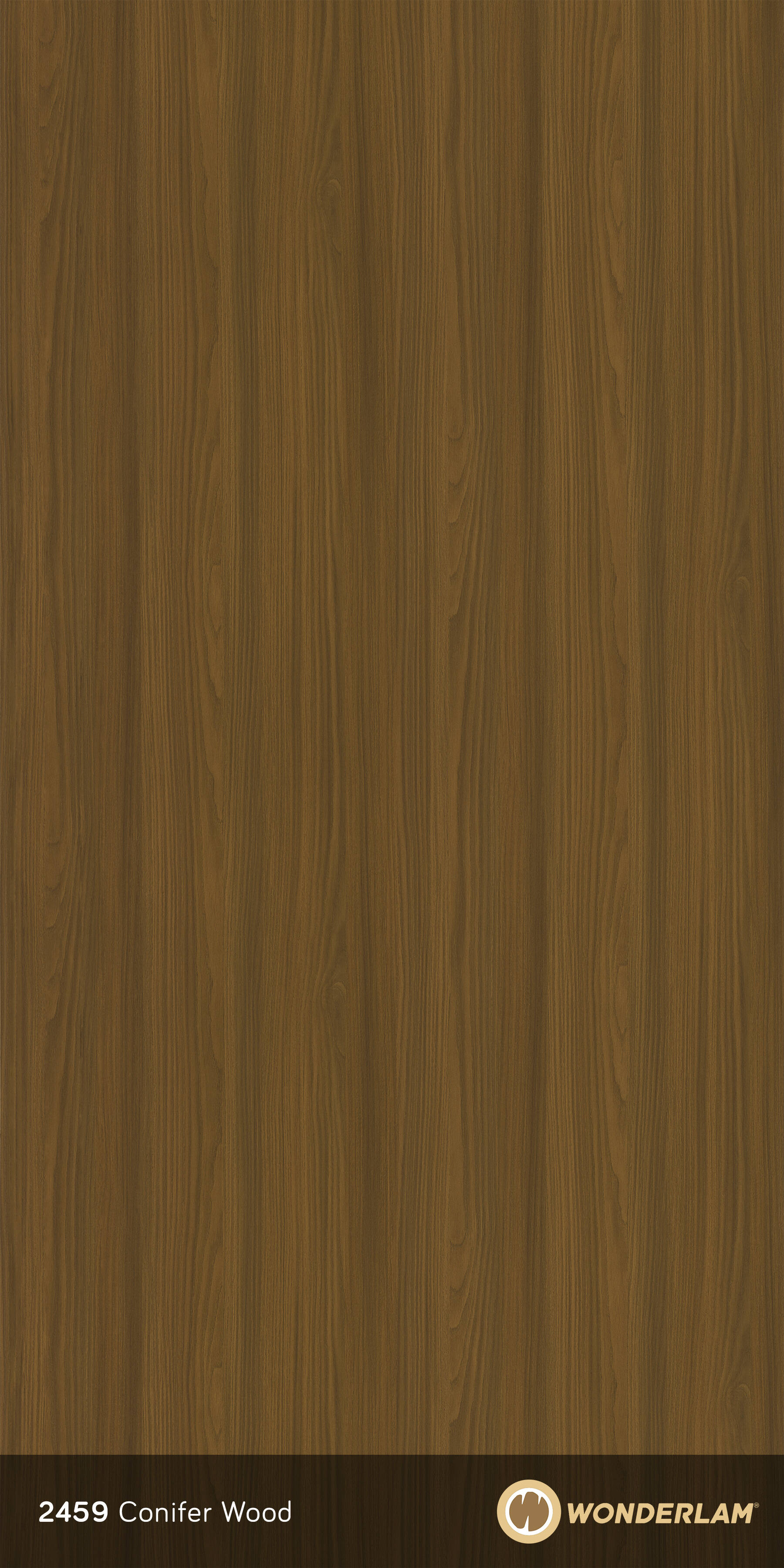 Conifer Wood