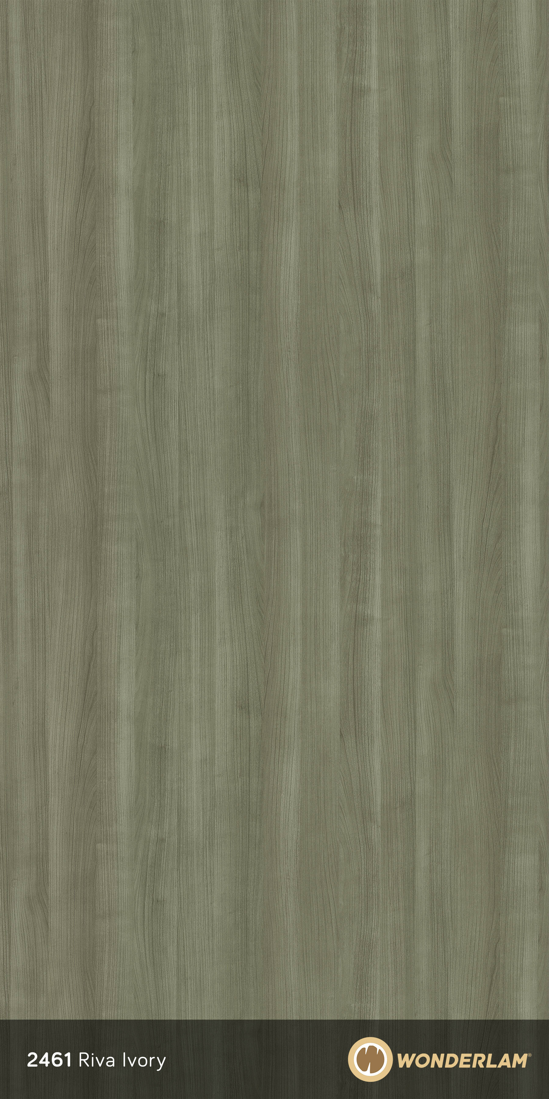 Riva Ivory