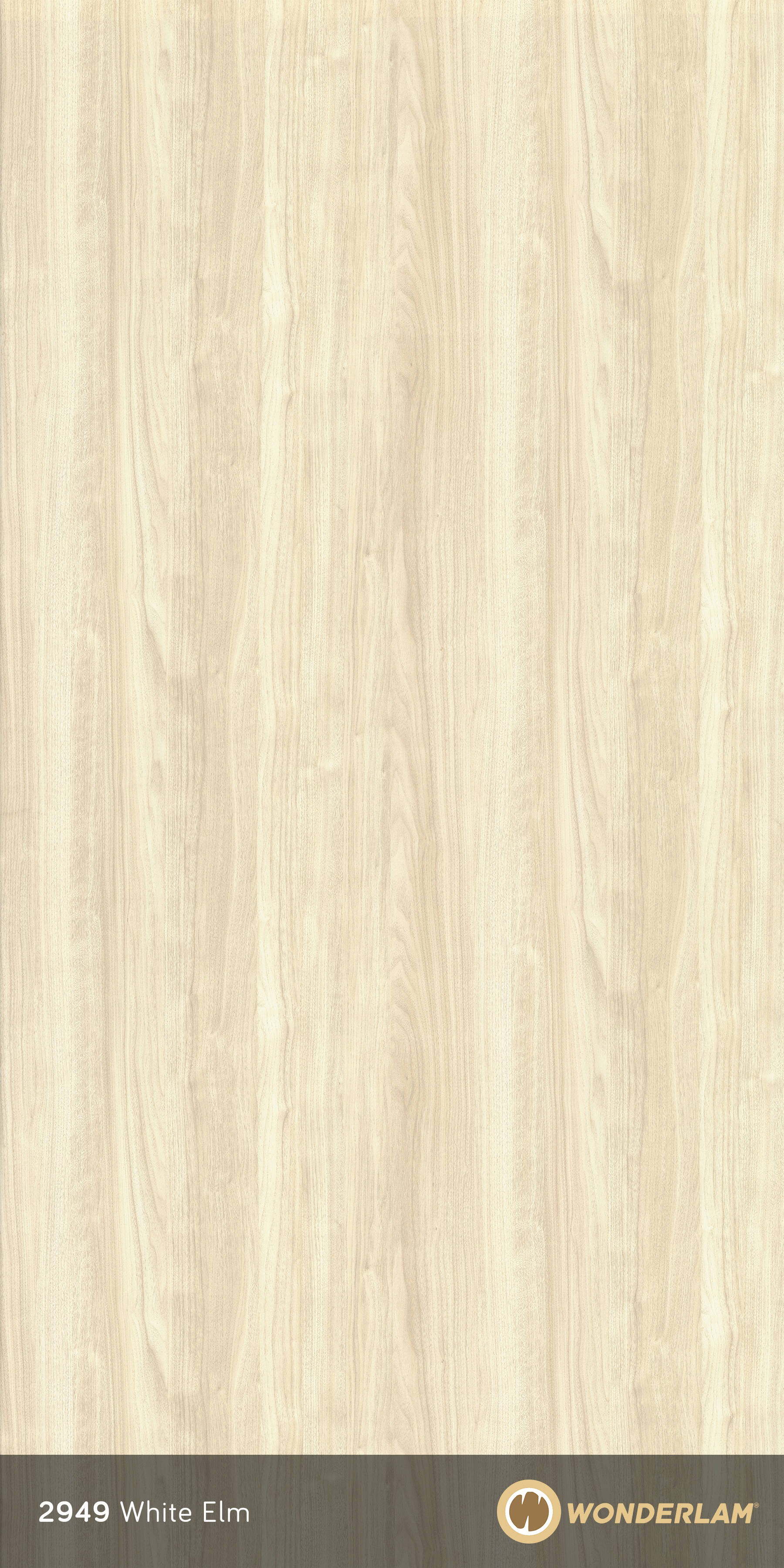 White Elm