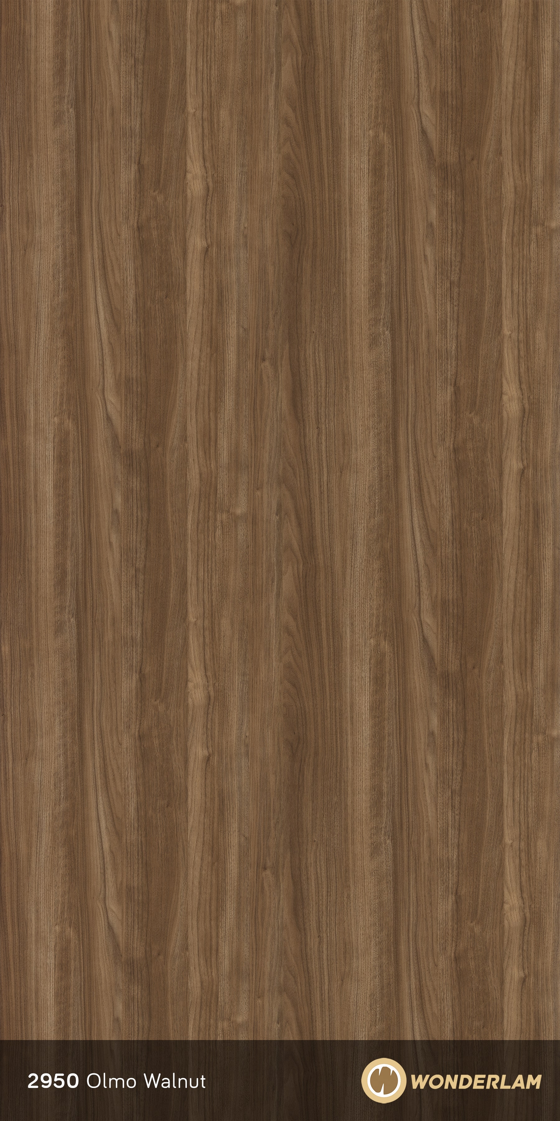 Olmo Walnut