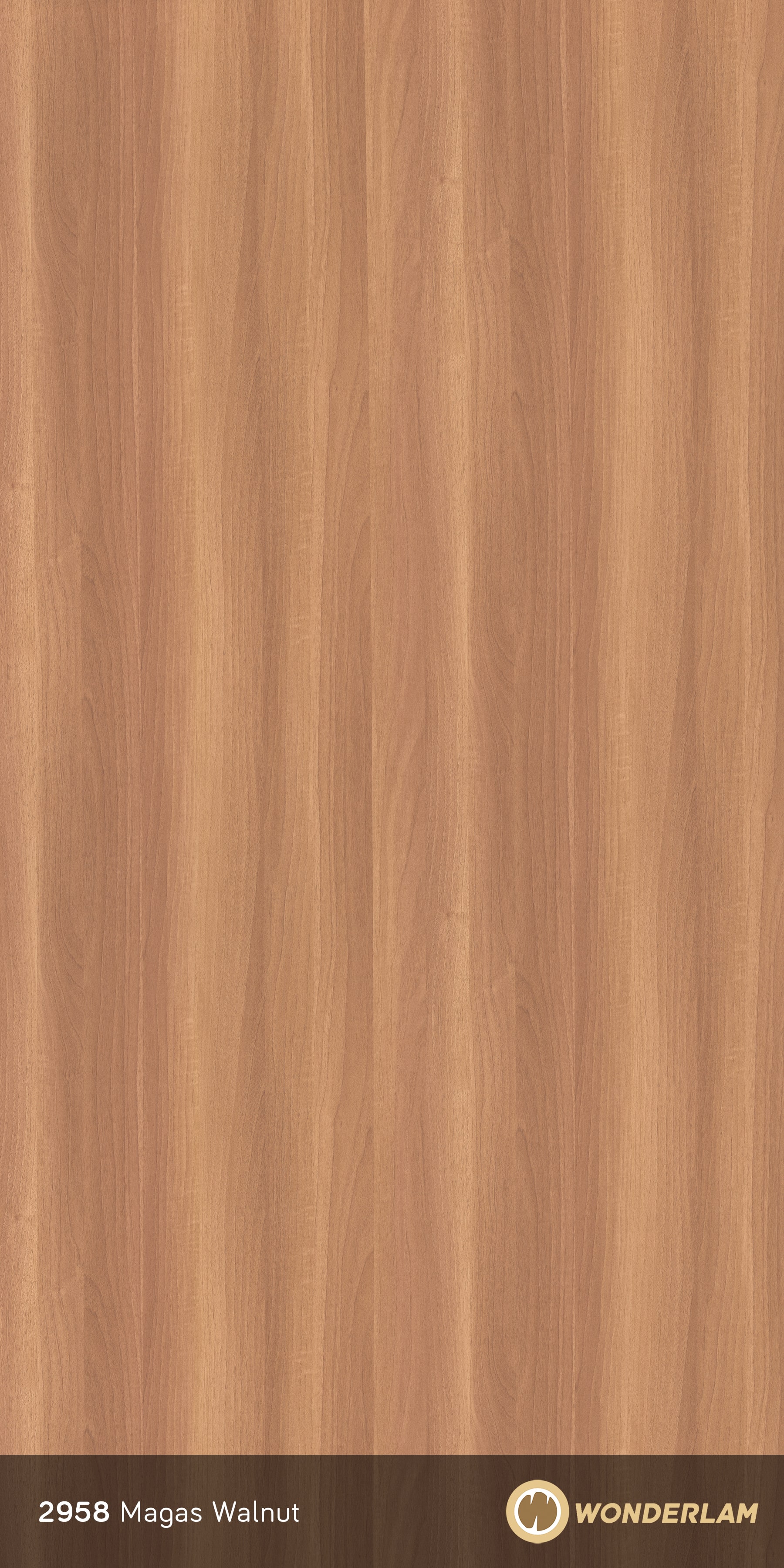 Magas Walnut