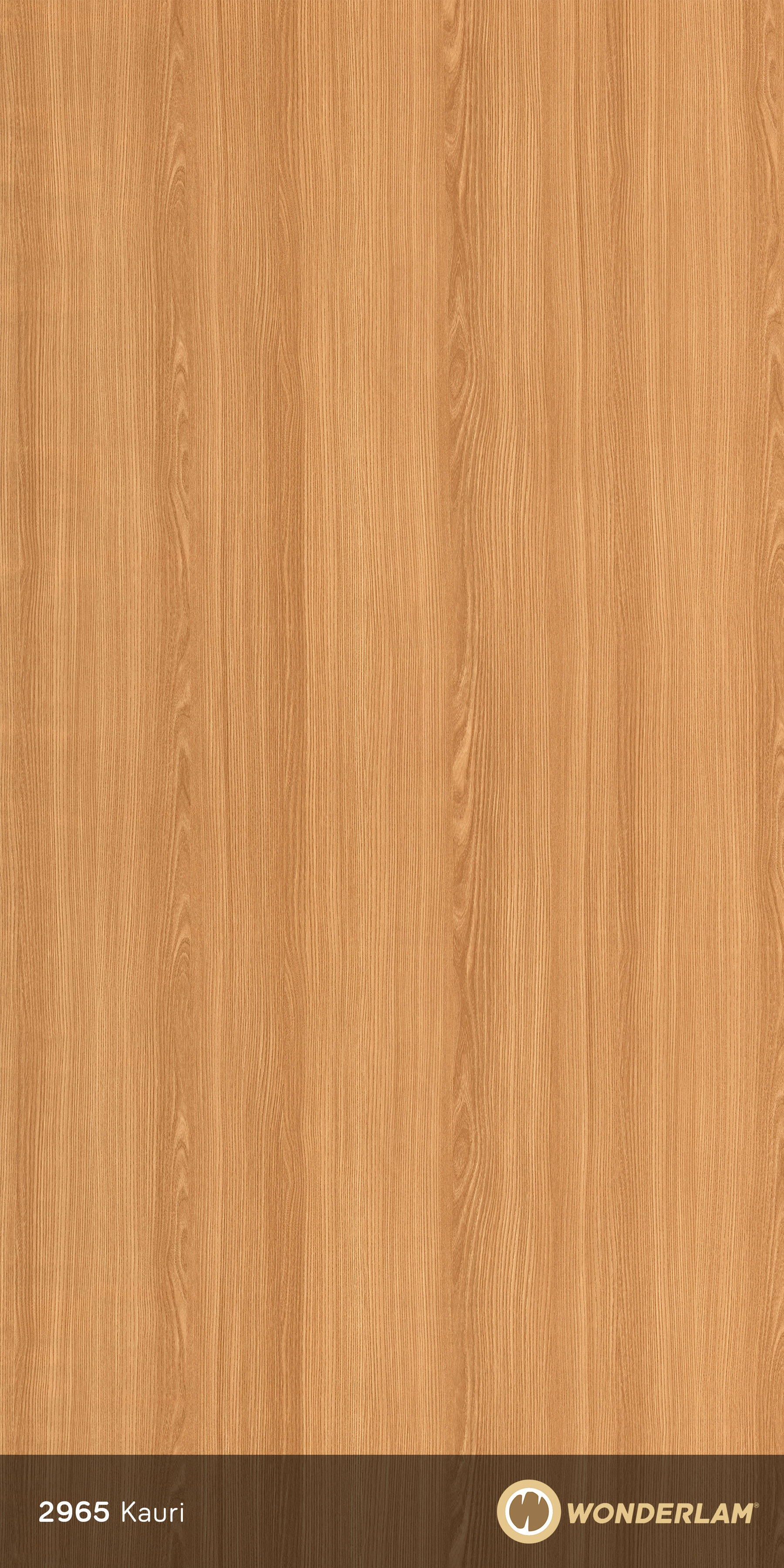 Kauri
