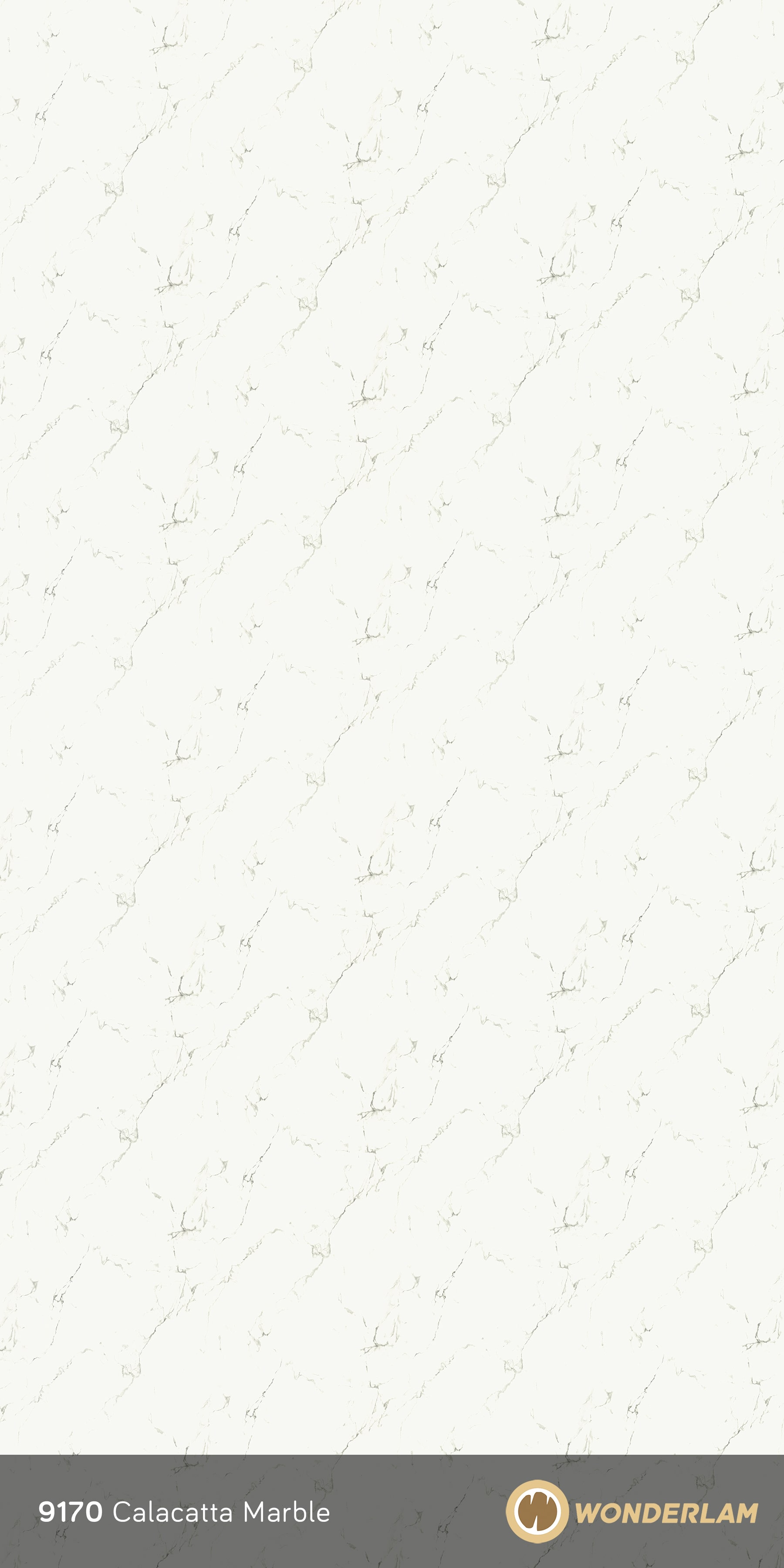 Calacatta Marble