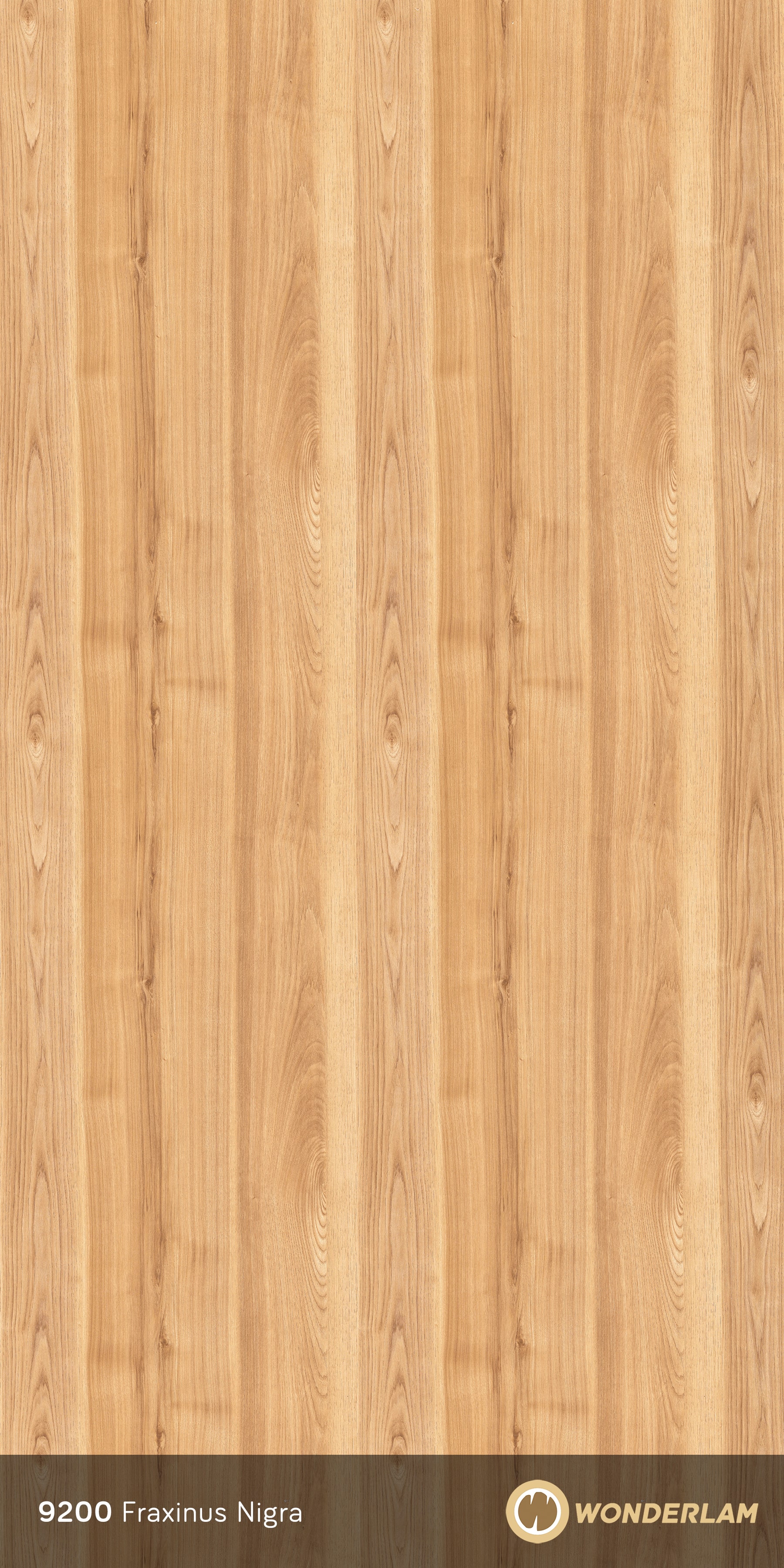 Fraxinus Nigra