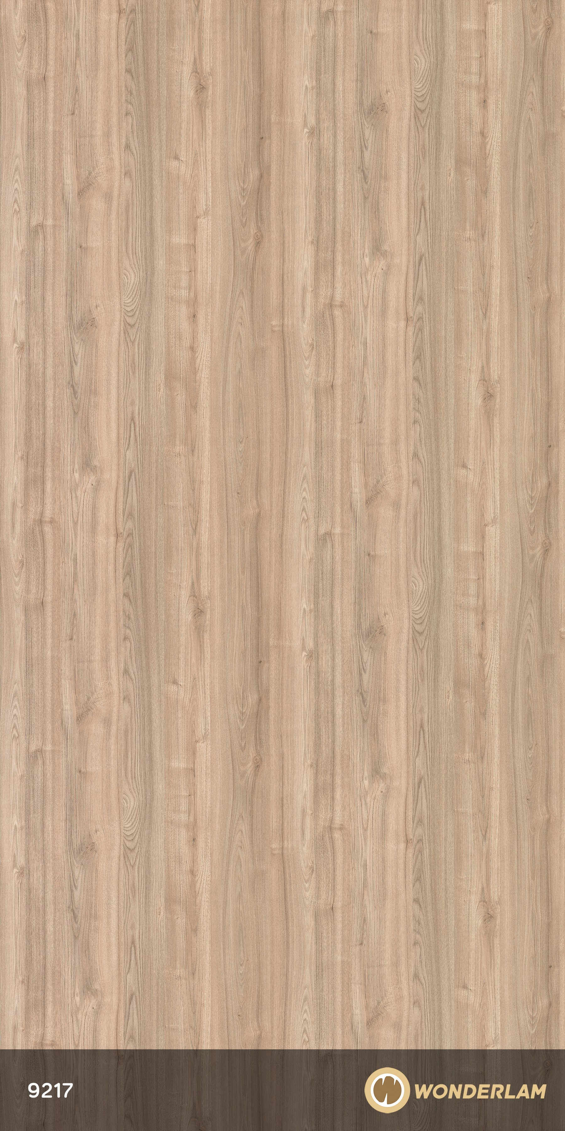 Pine Radiata
