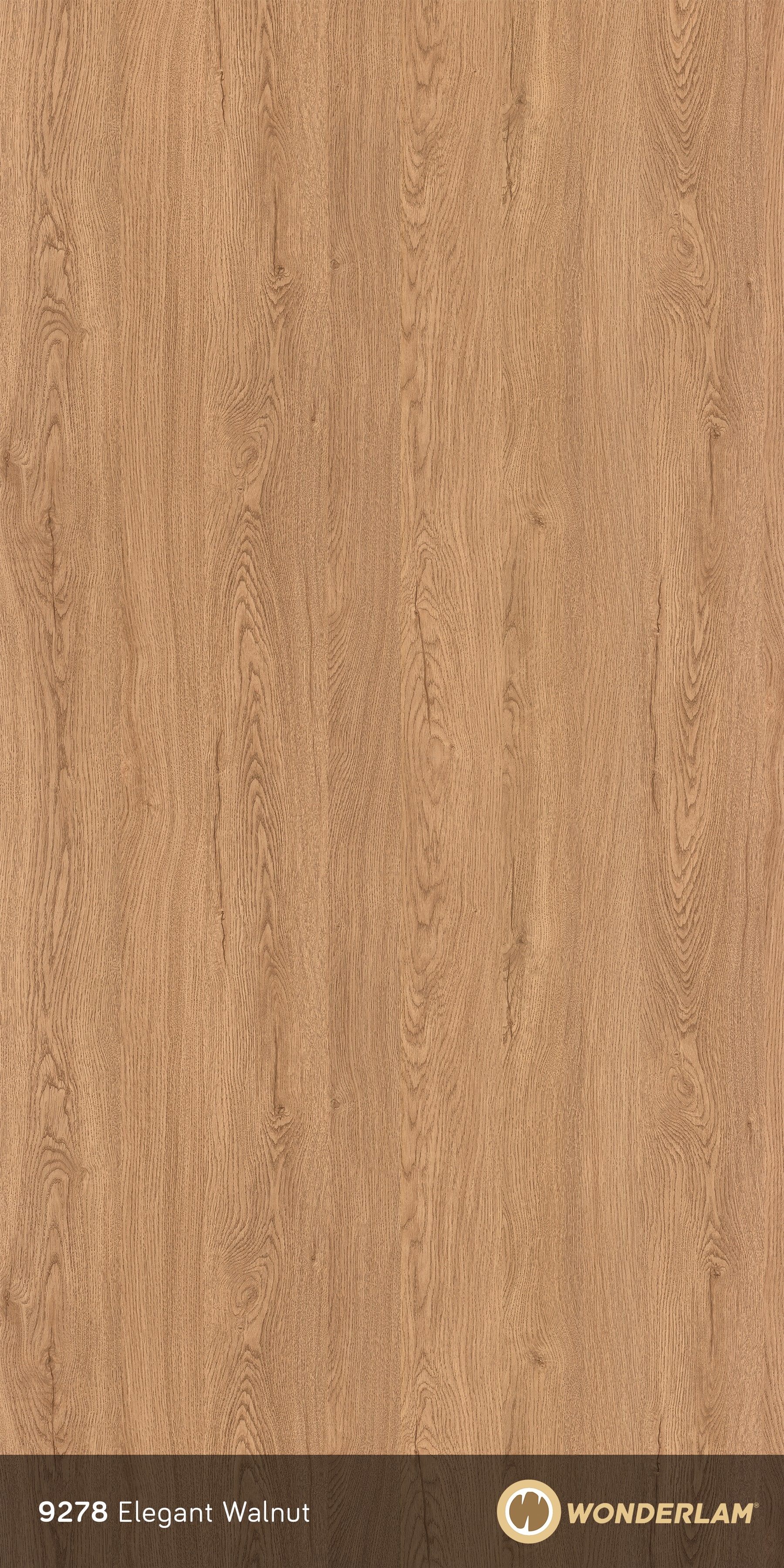 Elegant Walnut